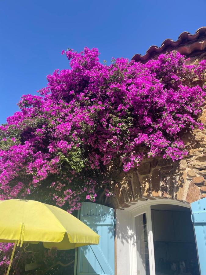 Maison De Vacances Medievale Bormes-Les-Mimosas Village 外观 照片
