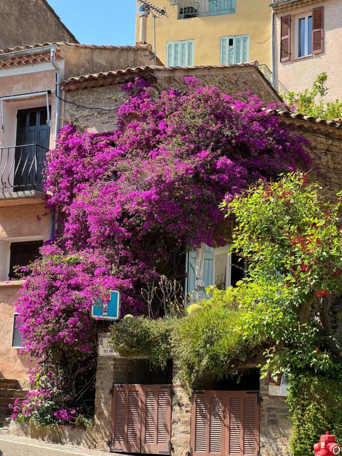 Maison De Vacances Medievale Bormes-Les-Mimosas Village 外观 照片