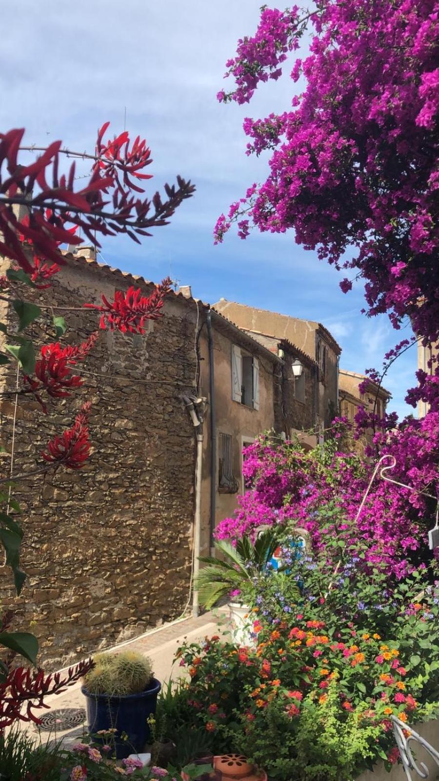 Maison De Vacances Medievale Bormes-Les-Mimosas Village 外观 照片